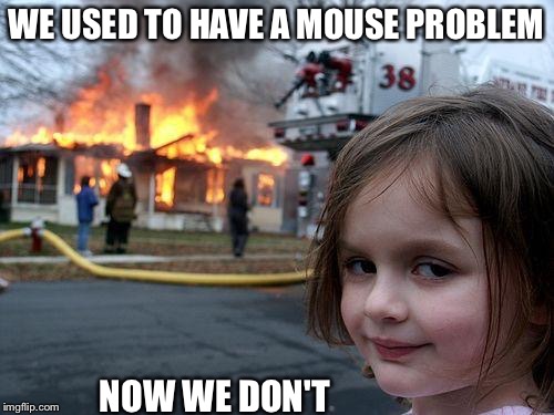 Disaster Girl Meme | WE USED TO HAVE A MOUSE PROBLEM NOW WE DON'T | image tagged in memes,disaster girl | made w/ Imgflip meme maker