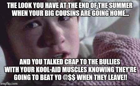 I See Dead People Meme | THE LOOK YOU HAVE AT THE END OF THE SUMMER WHEN YOUR BIG COUSINS ARE GOING HOME... AND YOU TALKED CRAP TO THE BULLIES WITH YOUR KOOL-AID MUS | image tagged in memes,i see dead people | made w/ Imgflip meme maker