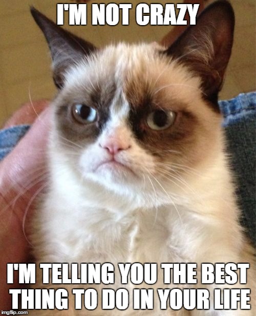 Grumpy Cat Meme | I'M NOT CRAZY I'M TELLING YOU THE BEST THING TO DO IN YOUR LIFE | image tagged in memes,grumpy cat | made w/ Imgflip meme maker