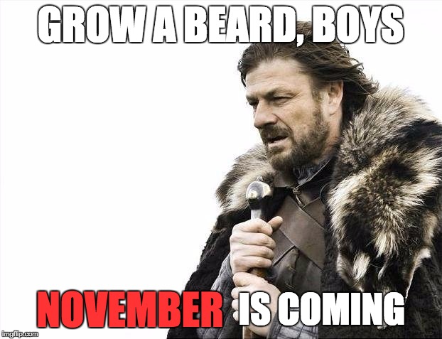Brace Yourselves X is Coming | GROW A BEARD, BOYS IS COMING NOVEMBER | image tagged in memes,brace yourselves x is coming | made w/ Imgflip meme maker