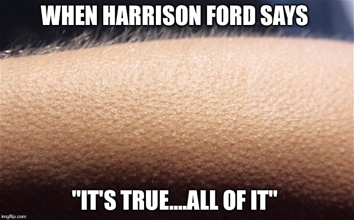 Goosebumps | WHEN HARRISON FORD SAYS "IT'S TRUE....ALL OF IT" | image tagged in goosebumps | made w/ Imgflip meme maker