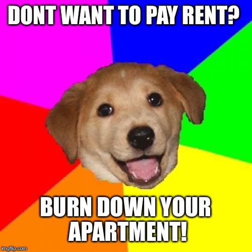 Advice Dog Meme | DONT WANT TO PAY RENT? BURN DOWN YOUR APARTMENT! | image tagged in memes,advice dog | made w/ Imgflip meme maker