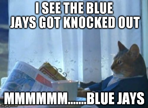 I Should Buy A Boat Cat | I SEE THE BLUE JAYS GOT KNOCKED OUT MMMMMM.......BLUE JAYS | image tagged in memes,i should buy a boat cat | made w/ Imgflip meme maker