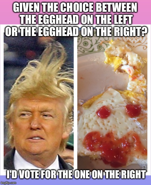 Egghead Trump | GIVEN THE CHOICE BETWEEN THE EGGHEAD ON THE LEFT OR THE EGGHEAD ON THE RIGHT? I'D VOTE FOR THE ONE ON THE RIGHT | image tagged in donald trumph hair | made w/ Imgflip meme maker