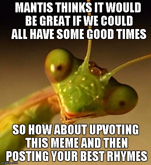 Rhyming memes would be great but any rhymes will do...so let's see what you got, it's all up to you | MANTIS THINKS IT WOULD BE GREAT IF WE COULD ALL HAVE SOME GOOD TIMES SO HOW ABOUT UPVOTING THIS MEME AND THEN POSTING YOUR BEST RHYMES | image tagged in mantis face,praying mantis,poetry,rhymes,funny,memes | made w/ Imgflip meme maker