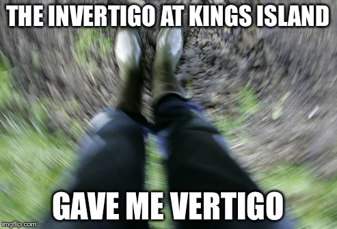 The coaster was rough | THE INVERTIGO AT KINGS ISLAND GAVE ME VERTIGO | image tagged in roller coaster,memes,funny,meme | made w/ Imgflip meme maker