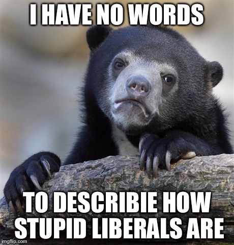 Confession Bear Meme | I HAVE NO WORDS TO DESCRIBIE HOW STUPID LIBERALS ARE | image tagged in memes,confession bear | made w/ Imgflip meme maker