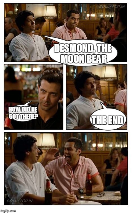 ZNMD Meme | DESMOND, THE MOON BEAR HOW DID HE GOT THERE? THE END | image tagged in memes,znmd,desmond,moon,bear,moon bear | made w/ Imgflip meme maker