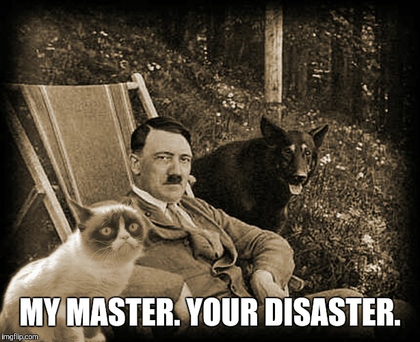 Grumpy Cat with Hitler | MY MASTER. YOUR DISASTER. | image tagged in grumpy cat with hitler | made w/ Imgflip meme maker