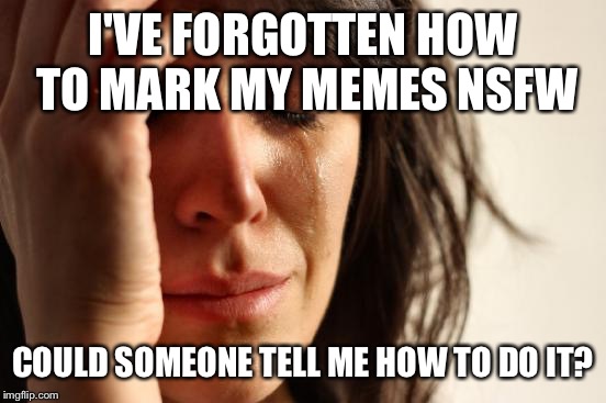 First World Problems | I'VE FORGOTTEN HOW TO MARK MY MEMES NSFW COULD SOMEONE TELL ME HOW TO DO IT? | image tagged in memes,first world problems | made w/ Imgflip meme maker