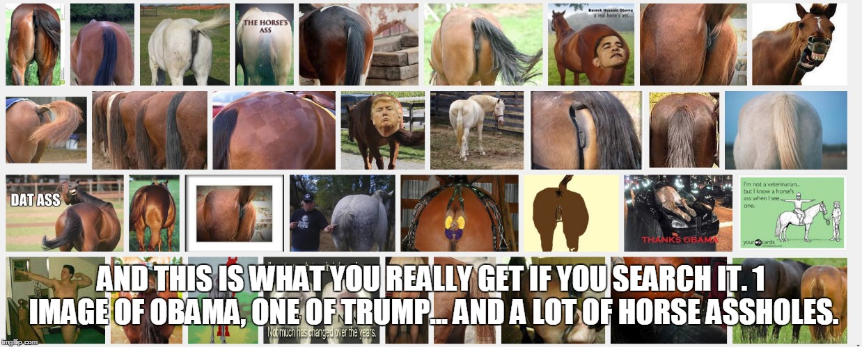 AND THIS IS WHAT YOU REALLY GET IF YOU SEARCH IT. 1 IMAGE OF OBAMA, ONE OF TRUMP... AND A LOT OF HORSE ASSHOLES. | made w/ Imgflip meme maker