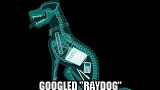 Raydog | GOOGLED "RAYDOG" | image tagged in raydog | made w/ Imgflip meme maker