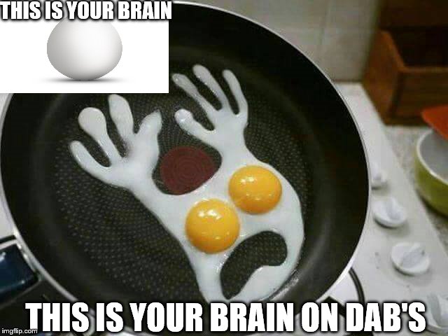 ON DAB'S | THIS IS YOUR BRAIN THIS IS YOUR BRAIN ON DAB'S | image tagged in dabs,too damn high | made w/ Imgflip meme maker