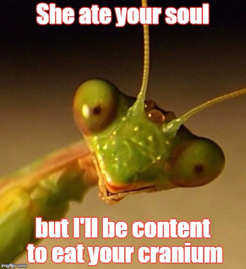 over attached mantis | She ate your soul but I'll be content to eat your cranium | image tagged in over attached mantis | made w/ Imgflip meme maker