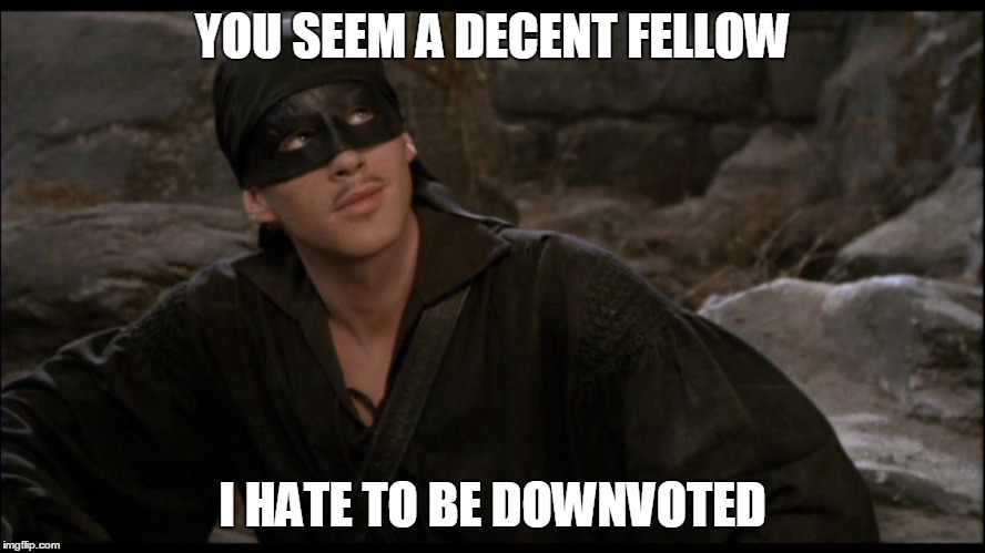 YOU SEEM A DECENT FELLOW I HATE TO BE DOWNVOTED | made w/ Imgflip meme maker