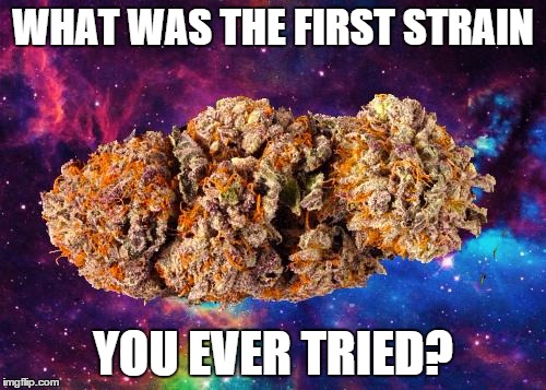 space weed | WHAT WAS THE FIRST STRAIN YOU EVER TRIED? | image tagged in space weed | made w/ Imgflip meme maker