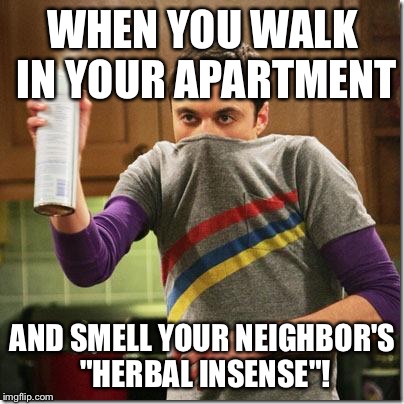 air freshener sheldon cooper | WHEN YOU WALK IN YOUR APARTMENT AND SMELL YOUR NEIGHBOR'S "HERBAL INSENSE"! | image tagged in air freshener sheldon cooper | made w/ Imgflip meme maker