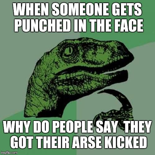 Philosoraptor | WHEN SOMEONE GETS PUNCHED IN THE FACE WHY DO PEOPLE SAY  THEY GOT THEIR ARSE KICKED | image tagged in memes,philosoraptor | made w/ Imgflip meme maker