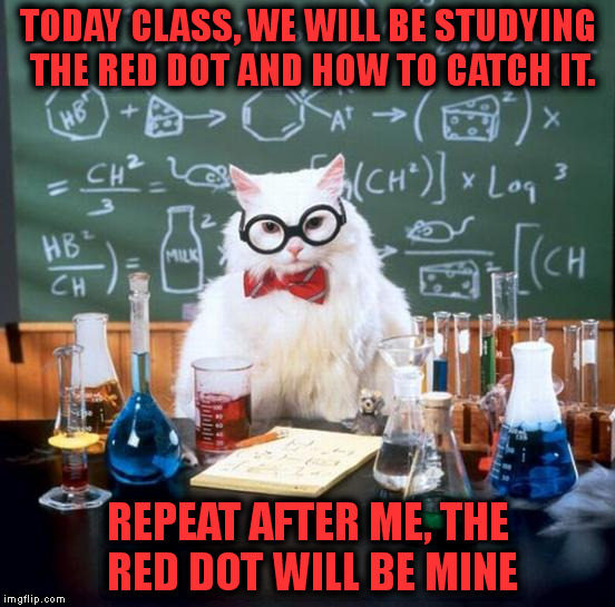 Chemistry Cat | TODAY CLASS, WE WILL BE STUDYING THE RED DOT AND HOW TO CATCH IT. REPEAT AFTER ME, THE RED DOT WILL BE MINE | image tagged in memes,chemistry cat | made w/ Imgflip meme maker