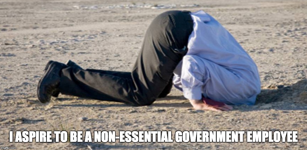 government cutts | I ASPIRE TO BE A NON-ESSENTIAL GOVERNMENT EMPLOYEE | image tagged in welfare,healthcare | made w/ Imgflip meme maker