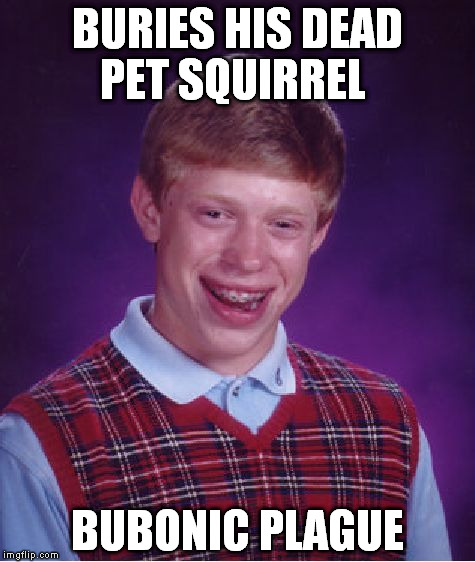 Bad Luck Brian Meme | BURIES HIS DEAD PET SQUIRREL BUBONIC PLAGUE | image tagged in memes,bad luck brian | made w/ Imgflip meme maker