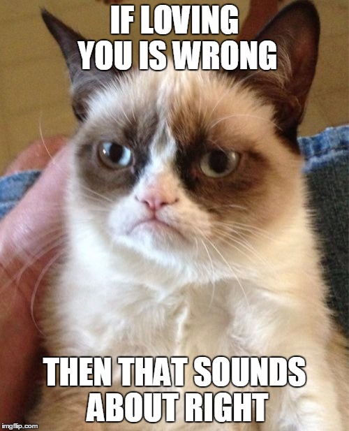 Grumpy Cat Meme | IF LOVING YOU IS WRONG THEN THAT SOUNDS ABOUT RIGHT | image tagged in memes,grumpy cat | made w/ Imgflip meme maker