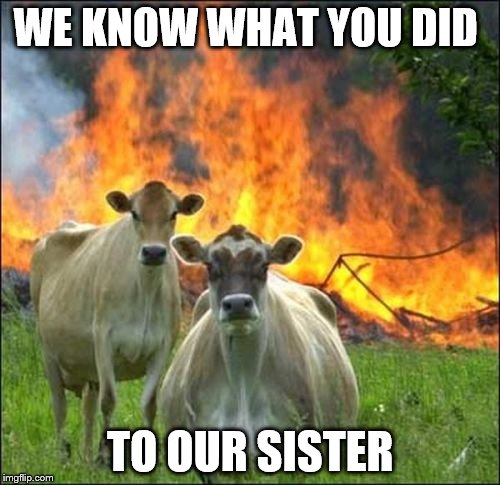 Evil Cows Meme | WE KNOW WHAT YOU DID TO OUR SISTER | image tagged in memes,evil cows | made w/ Imgflip meme maker