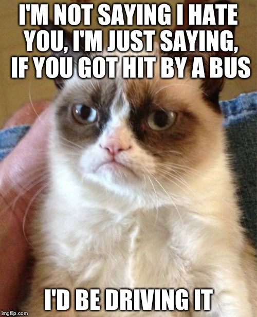 Grumpy Cat | I'M NOT SAYING I HATE YOU, I'M JUST SAYING, IF YOU GOT HIT BY A BUS I'D BE DRIVING IT | image tagged in memes,grumpy cat | made w/ Imgflip meme maker