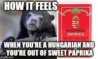 sad bear paprika | HOW IT FEELS WHEN YOU'RE A HUNGARIAN AND YOU'RE OUT OF SWEET PAPRIKA | image tagged in hungarian,paprika | made w/ Imgflip meme maker
