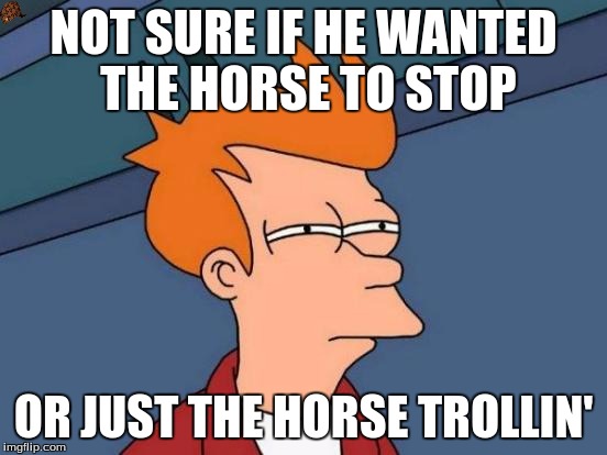 Futurama Fry Meme | NOT SURE IF HE WANTED THE HORSE TO STOP OR JUST THE HORSE TROLLIN' | image tagged in memes,futurama fry,scumbag | made w/ Imgflip meme maker