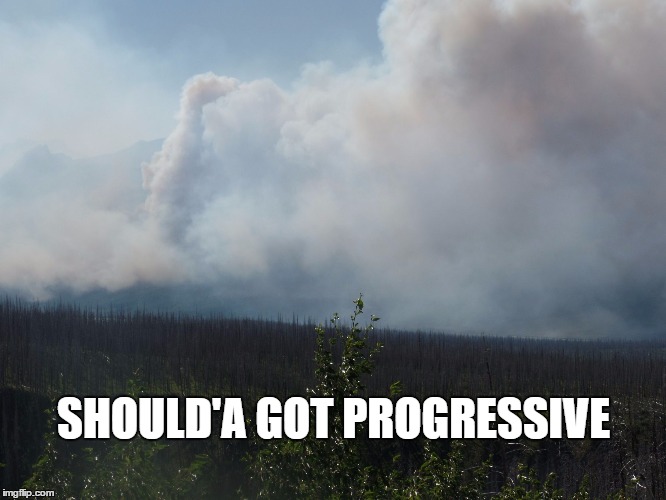 SHOULD'A GOT PROGRESSIVE | image tagged in gecko | made w/ Imgflip meme maker