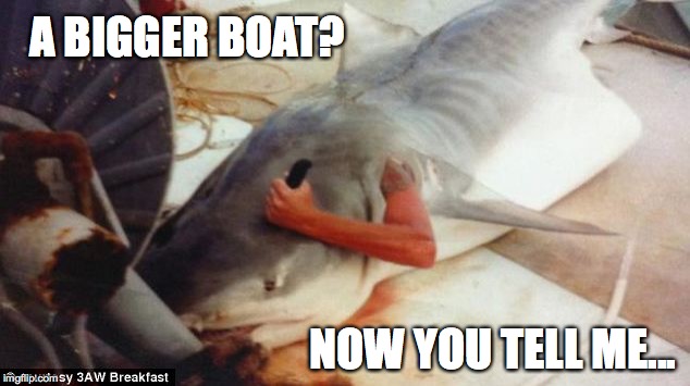Jaws | A BIGGER BOAT? NOW YOU TELL ME... | image tagged in jaws,bigger boat,now you tell me | made w/ Imgflip meme maker