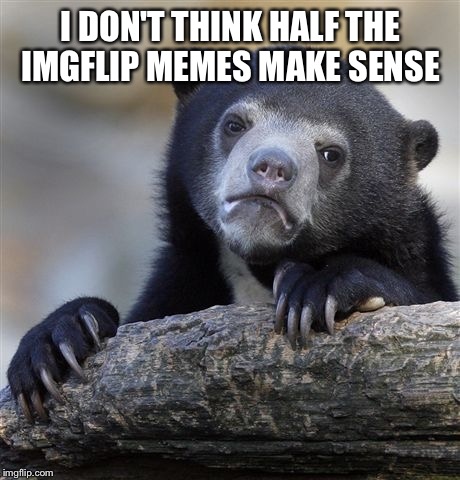Confession Bear | I DON'T THINK HALF THE IMGFLIP MEMES MAKE SENSE | image tagged in memes,confession bear | made w/ Imgflip meme maker