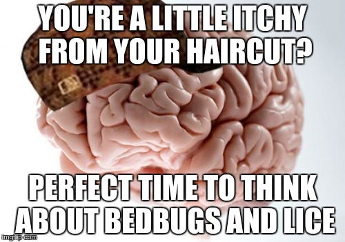 Scumbag Brain | YOU'RE A LITTLE ITCHY FROM YOUR HAIRCUT? PERFECT TIME TO THINK ABOUT BEDBUGS AND LICE | image tagged in memes,scumbag brain | made w/ Imgflip meme maker