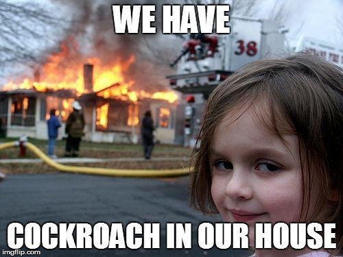 Disaster Girl | WE HAVE COCKROACH IN OUR HOUSE | image tagged in memes,disaster girl | made w/ Imgflip meme maker
