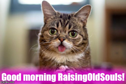 Dumb look cat | Good morning RaisingOldSouls! | image tagged in dumb look cat | made w/ Imgflip meme maker