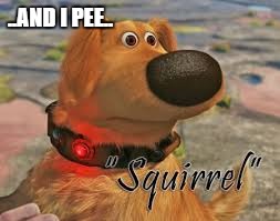 squirrel | ..AND I PEE.. | image tagged in squirrel | made w/ Imgflip meme maker