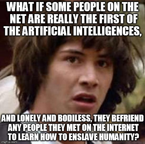 Robot Catfish | WHAT IF SOME PEOPLE ON THE NET ARE REALLY THE FIRST OF THE ARTIFICIAL INTELLIGENCES, AND LONELY AND BODILESS, THEY BEFRIEND ANY PEOPLE THEY  | image tagged in memes,conspiracy keanu | made w/ Imgflip meme maker