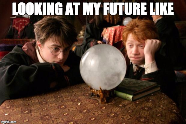 Harry Potter meme | LOOKING AT MY FUTURE LIKE | image tagged in harry potter meme | made w/ Imgflip meme maker