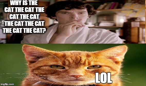 WHY IS THE CAT THE CAT THE CAT THE CAT THE CAT THE CAT THE CAT THE CAT? LOL | made w/ Imgflip meme maker