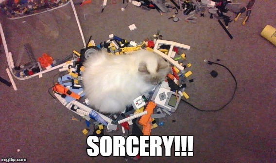 This cat is immune to legos evil foot hurting powers! how is this possible? | SORCERY!!! | image tagged in cat,pain,lego,sorcery | made w/ Imgflip meme maker