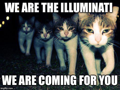 Wrong Neighboorhood Cats | WE ARE THE ILLUMINATI WE ARE COMING FOR YOU | image tagged in memes,wrong neighboorhood cats | made w/ Imgflip meme maker