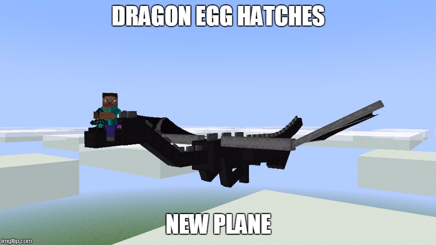 DRAGON EGG HATCHES NEW PLANE | image tagged in success steve | made w/ Imgflip meme maker