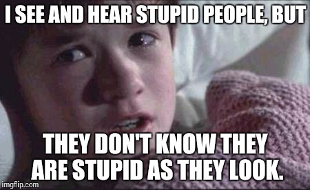 I See Dead People | I SEE AND HEAR STUPID PEOPLE, BUT THEY DON'T KNOW THEY ARE STUPID AS THEY LOOK. | image tagged in memes,i see dead people | made w/ Imgflip meme maker