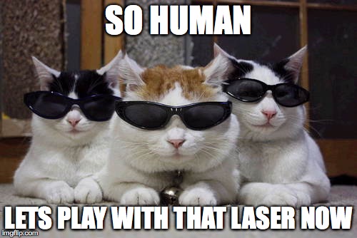 Cats Catch On | SO HUMAN LETS PLAY WITH THAT LASER NOW | image tagged in funny cats | made w/ Imgflip meme maker
