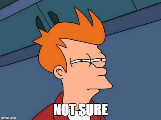 Futurama Fry Meme | NOT SURE | image tagged in memes,futurama fry | made w/ Imgflip meme maker