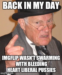 Back In My Day | BACK IN MY DAY IMGFLIP WASN'T SWARMING WITH BLEEDING HEART LIBERAL PUSSIES | image tagged in memes,back in my day | made w/ Imgflip meme maker