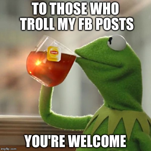 But That's None Of My Business | TO THOSE WHO TROLL MY FB POSTS YOU'RE WELCOME | image tagged in memes,but thats none of my business,kermit the frog | made w/ Imgflip meme maker