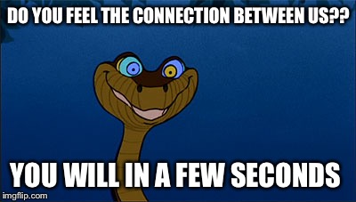 DO YOU FEEL THE CONNECTION BETWEEN US?? YOU WILL IN A FEW SECONDS | image tagged in kreepy kaa | made w/ Imgflip meme maker