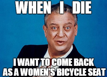 Rodney | WHEN   I   DIE I WANT TO COME BACK AS A WOMEN'S BICYCLE SEAT | image tagged in rodney,funny | made w/ Imgflip meme maker
